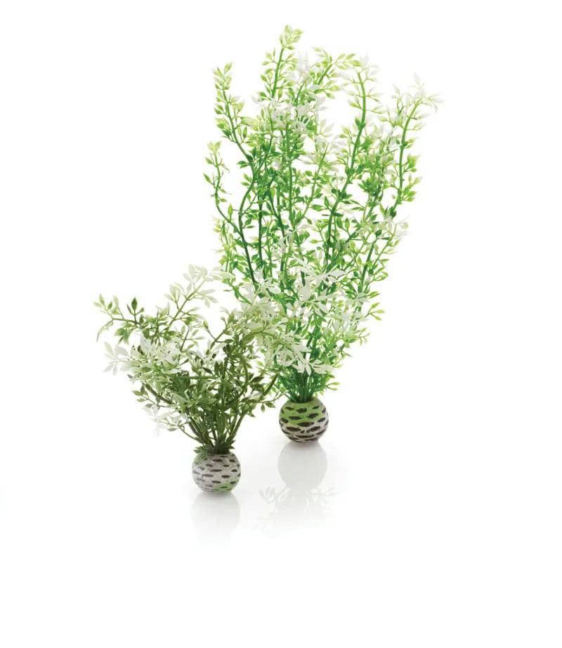 BiOrb Winter Flower Plant Set of 2