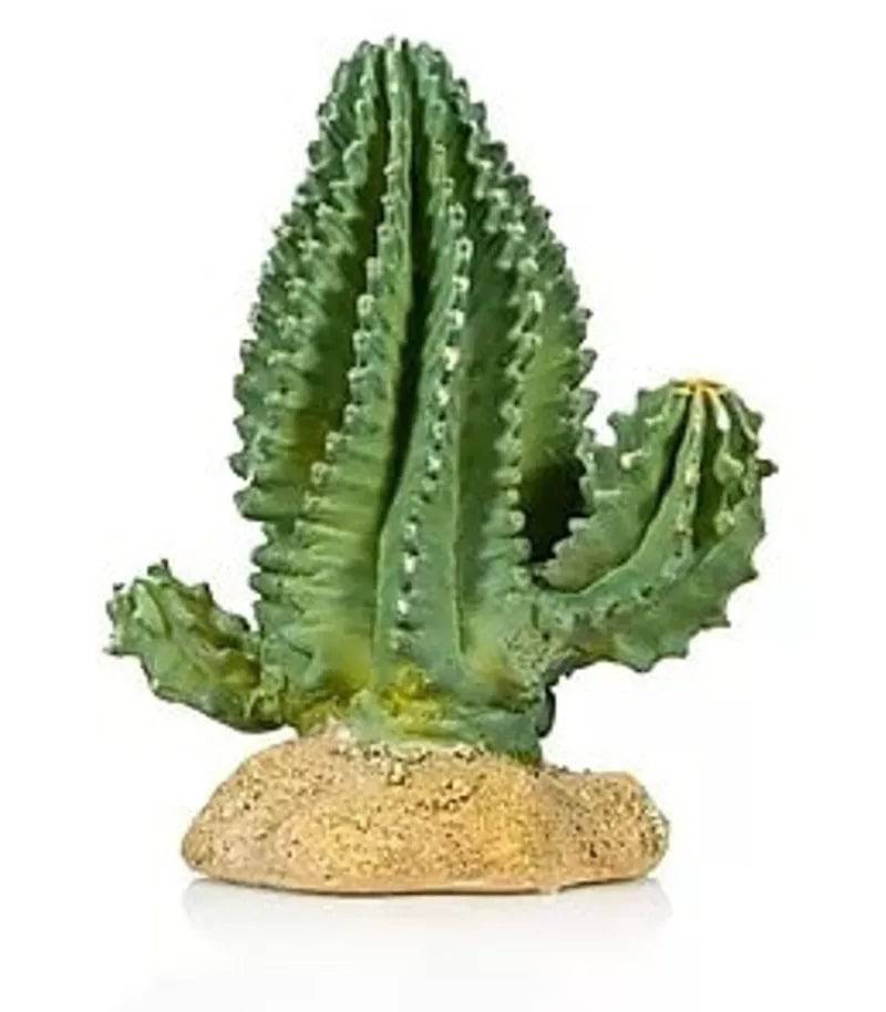 Cactus 4 Size 137.515