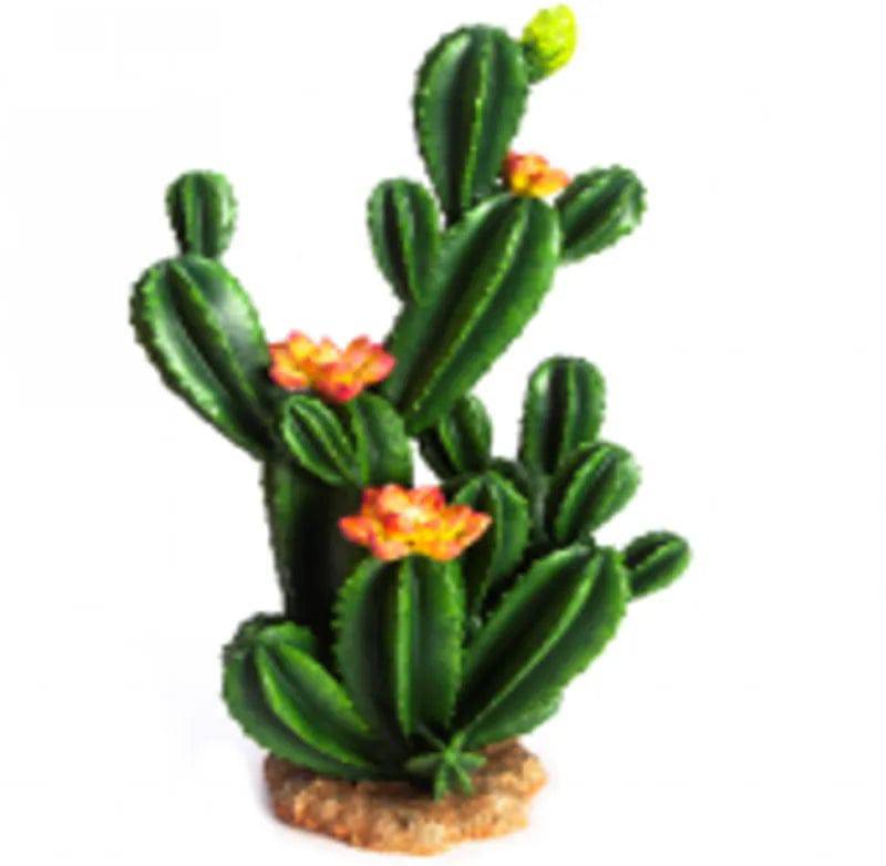 Cactus 7 Size 2618.542.5