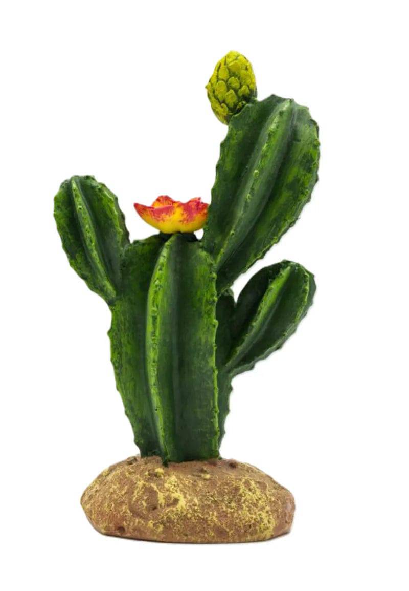 Cactus 8 Size 16.510.522.5