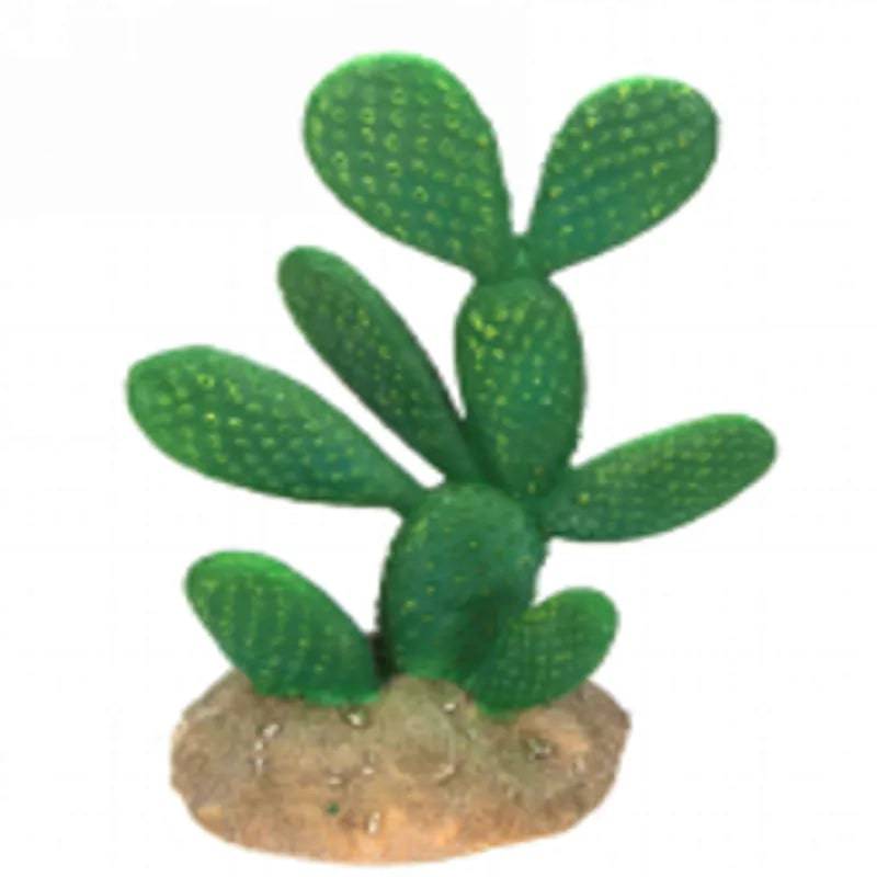 Cactus 9 Size 13919.5