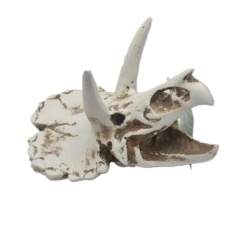 Dino Skull 1 Size 171212.5