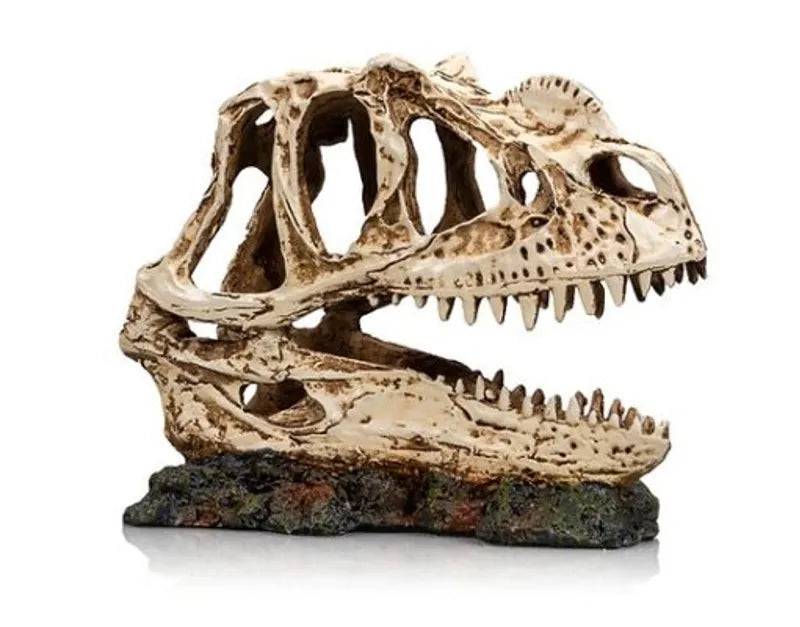 Dino Skull 3 Size 19914