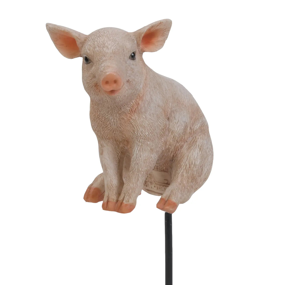 Sitting Pig Plant Pal Resin Ornament by Vivid Arts Vivid Arts