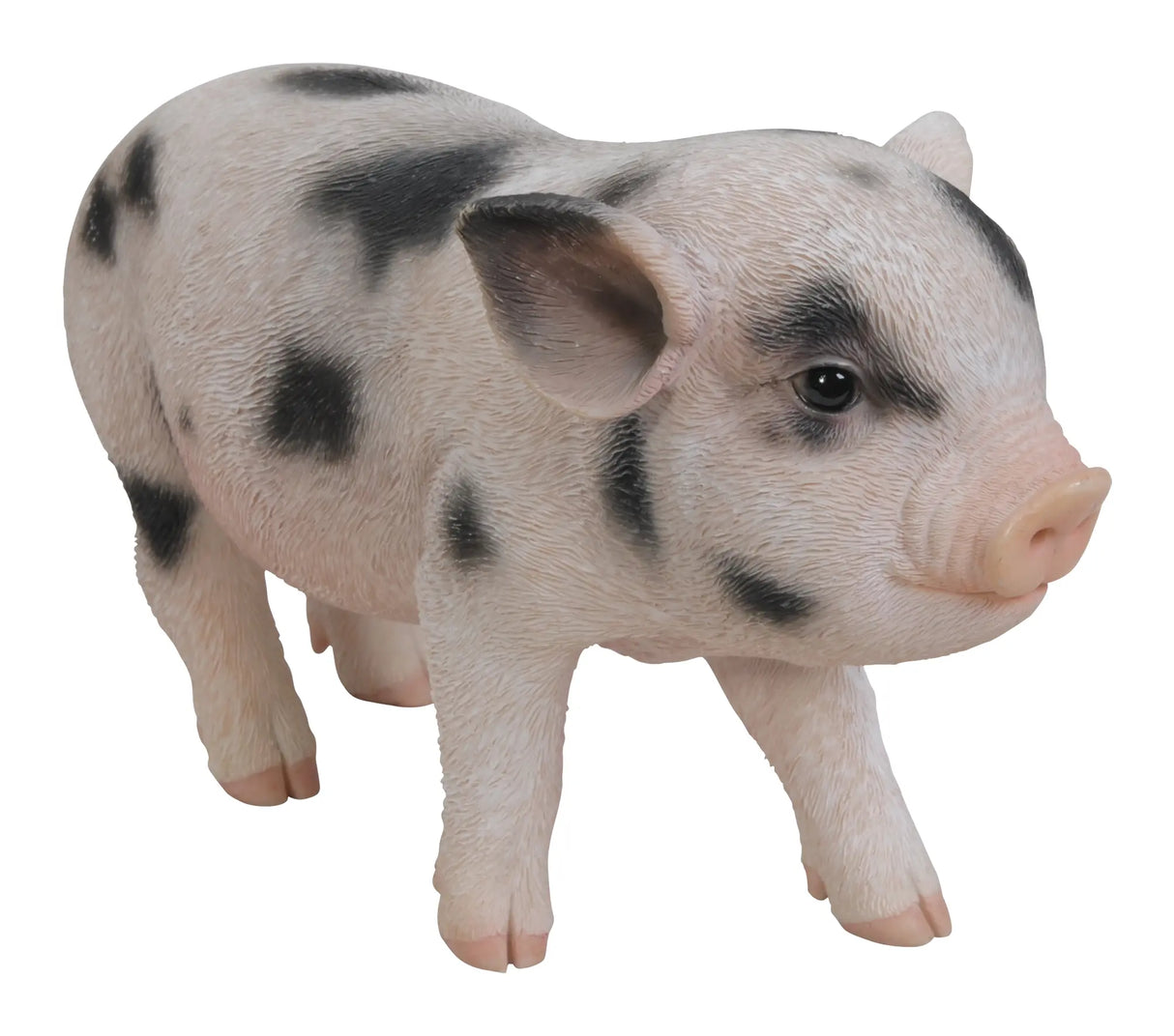 Micro Pig Real Life Resin Ornament by Vivid Arts Vivid Arts