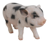 Micro Pig Real Life Resin Ornament by Vivid Arts Vivid Arts