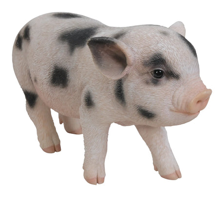 Micro Pig Real Life Resin Ornament by Vivid Arts Vivid Arts