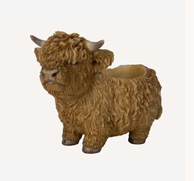 Highland Cattle Planter Size D by Vivid Arts