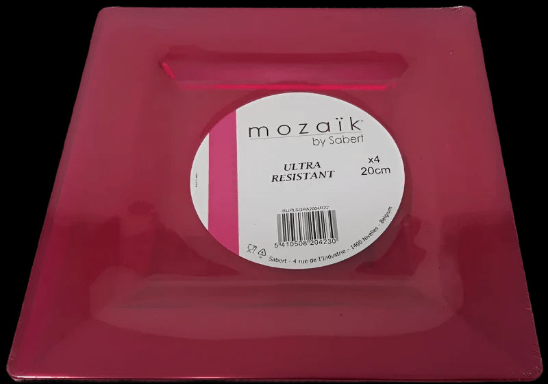 20CM Picnic Plate Pack of 4