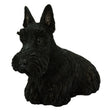 Vivid Arts Real Life Black Scottish Terrier Resin Ornament Vivid Arts