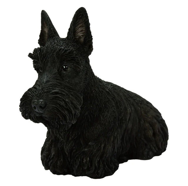 Vivid Arts Real Life Black Scottish Terrier Resin Ornament Vivid Arts