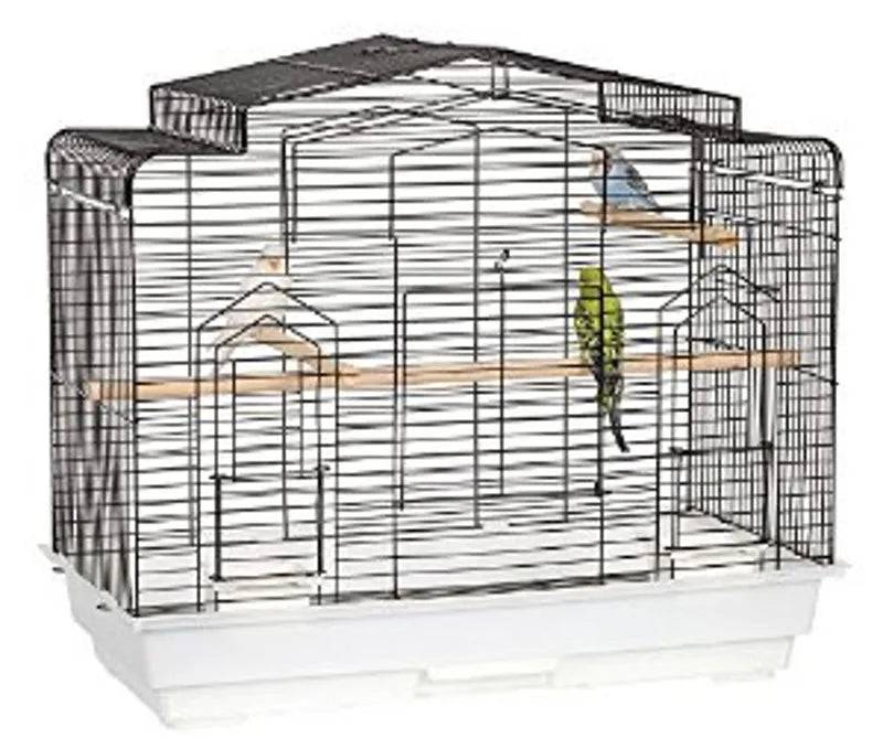 Bird Cage Arizona