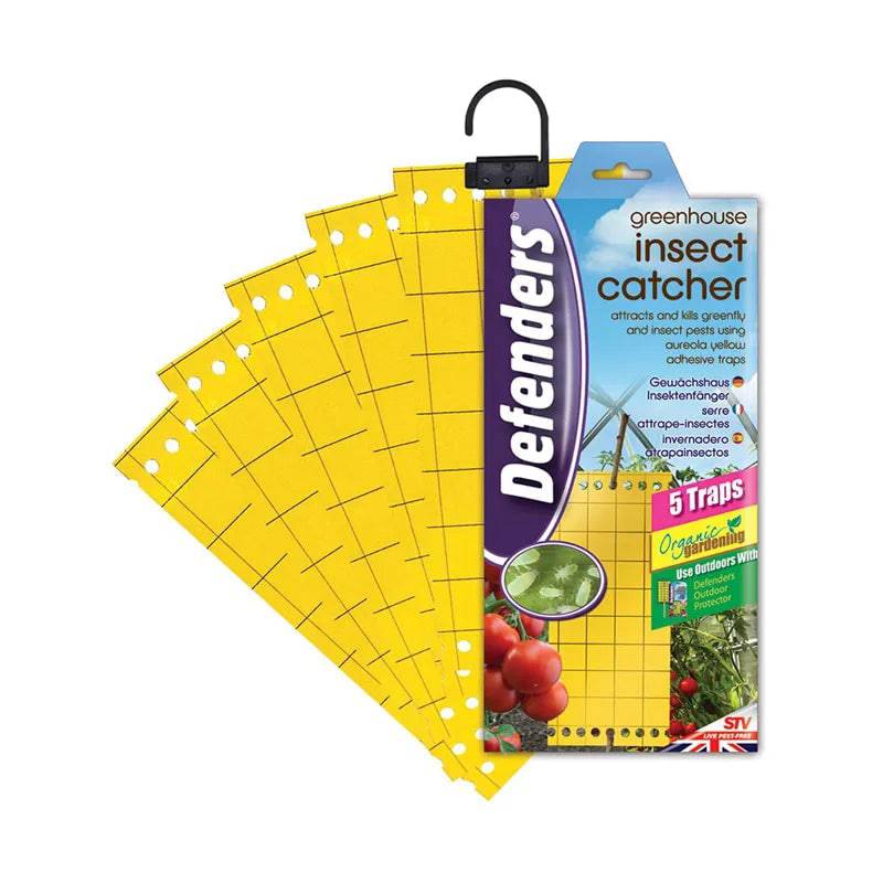 Greenhouse Insect Catcher - 5 Traps