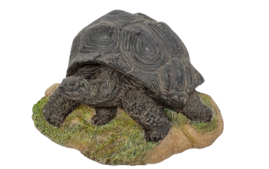 WF Crawling Tortoise Magnet by Vivid Arts