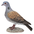 WBC Turtle Dove by Vivid Arts Vivid Arts