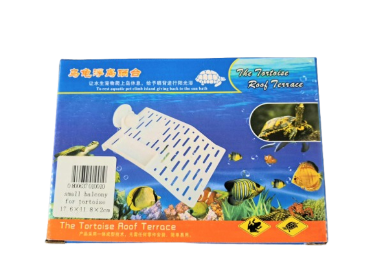 Turtle Shelf Small 17.6cm
