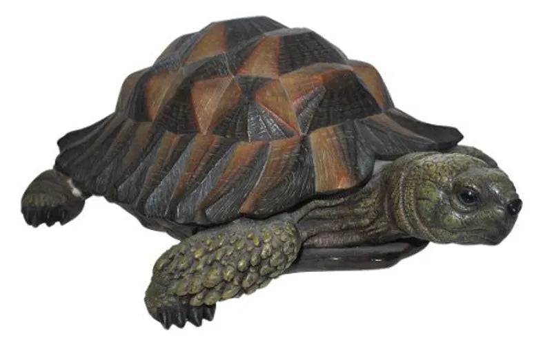 Tortoise Real Life Resin Ornament by Vivid Arts