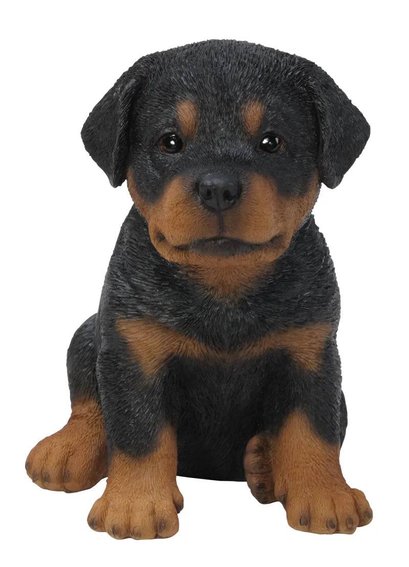Pet Pals Rottweiler Puppy Ornament Size F by Vivid Arts
