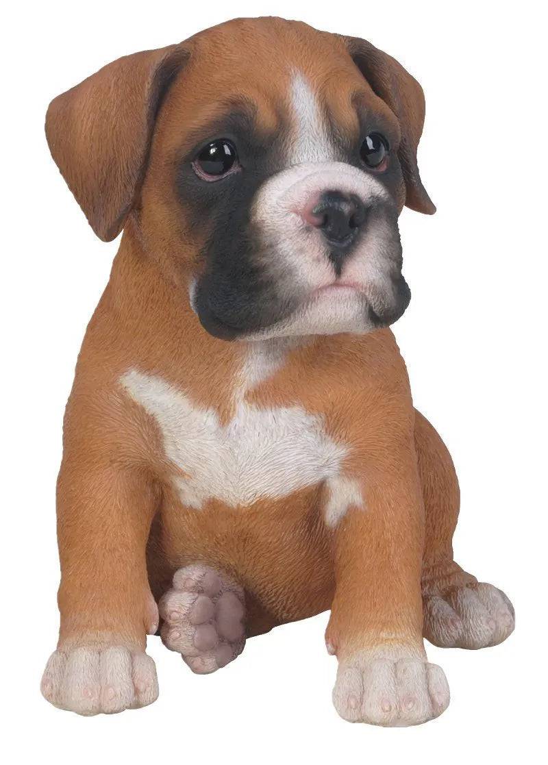 PP Boxer Puppy F