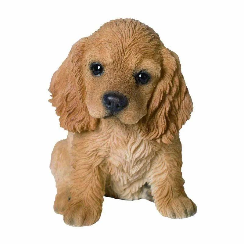 PP Golden Cocker Spaniel Pup F Box/4