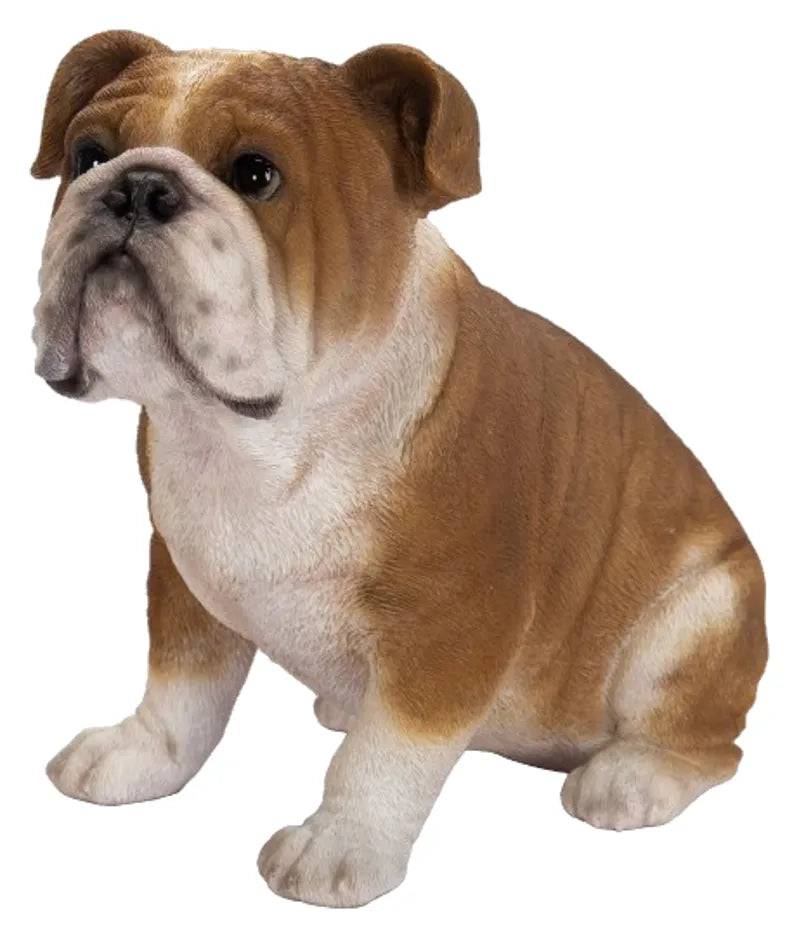 Bulldog Real Life Resin Ornament by Vivid Arts Vivid Arts