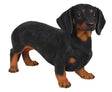 Real Life Dachshund Vivid Arts