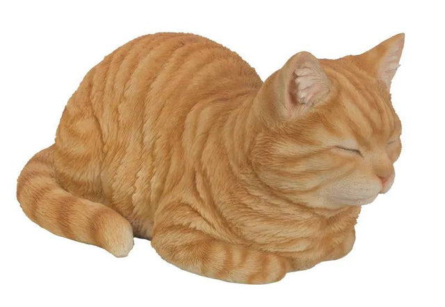 Real Life Dreaming Cat Ginger Resin Ornament by Vivid Arts Vivid Arts