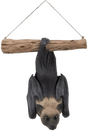 Flying Fruit Bat Real Life Resin Ornament by Vivid Arts Vivid Arts