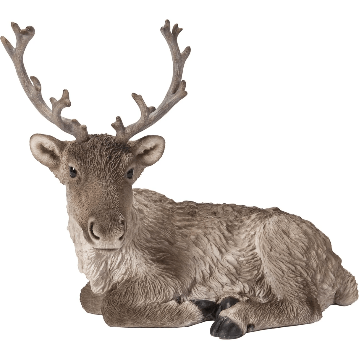 Real Life Laying Reindeer C
