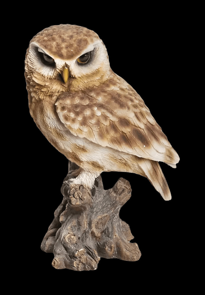 Real Life Little Owl Ornament Size D by Vivid Arts