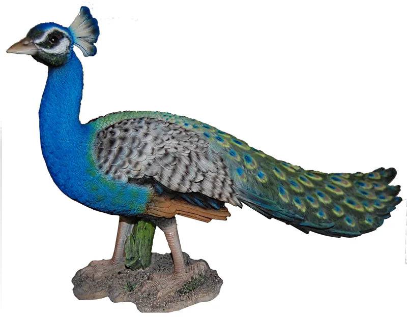 Real Life Peacock Ornament Size B by Vivid Arts