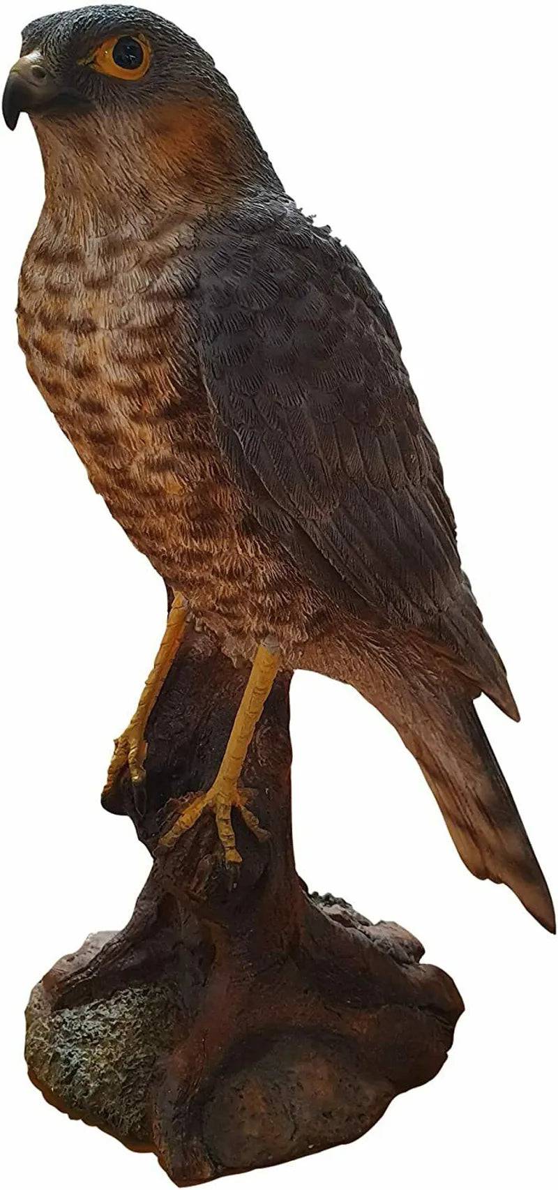 Real Life Sparrow Hawk Ornament Size D by Vivid Arts