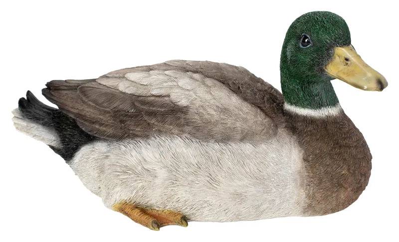 Real Life Squatting Mallard Duck Ornament Size B by Vivid Arts