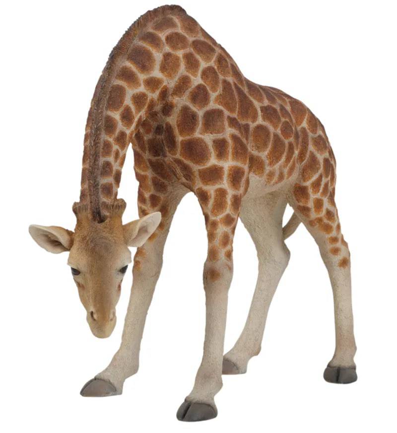 Real Life Stooping Giraffe Ornament Size A by Vivid Arts