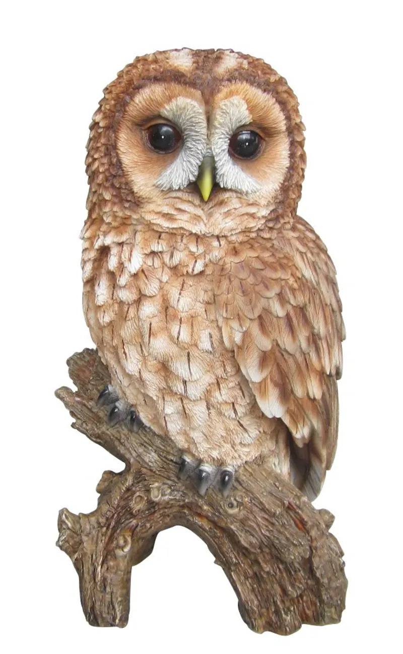 Real Life Tawny Owl Ornament Size B by Vivid Arts