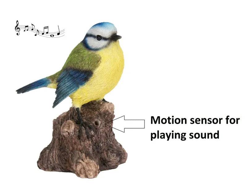 Singing Blue Tit on Stump F