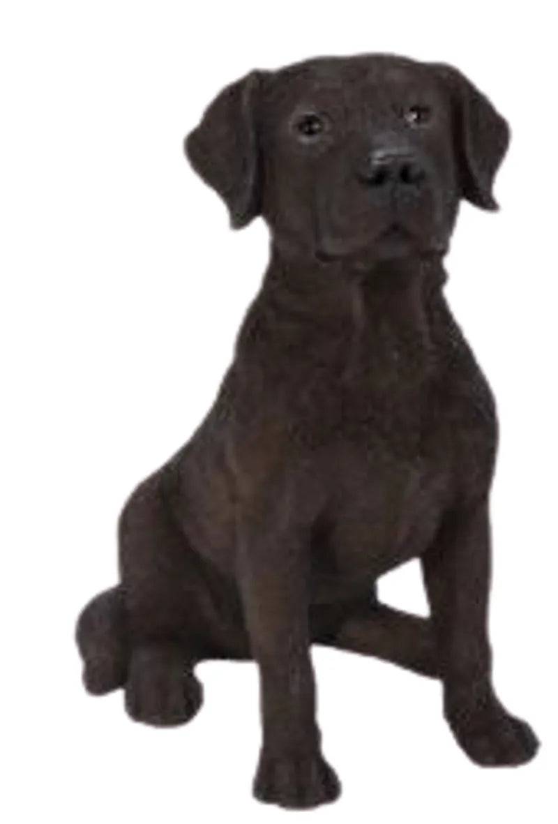 Chocolate Labrador Real Life Resin Ornament by Vivid Arts Vivid Arts