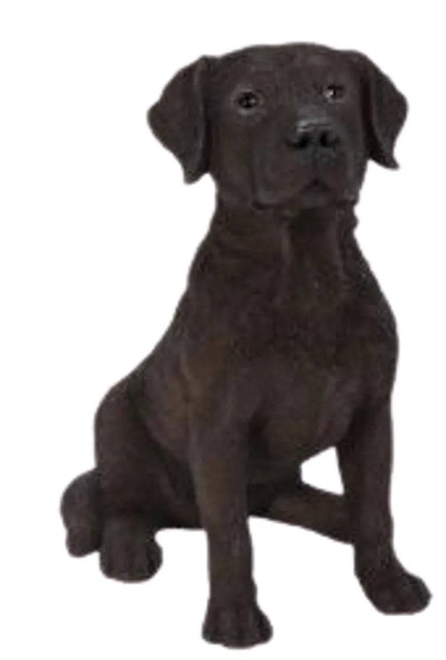 Chocolate Labrador Real Life Resin Ornament by Vivid Arts Vivid Arts