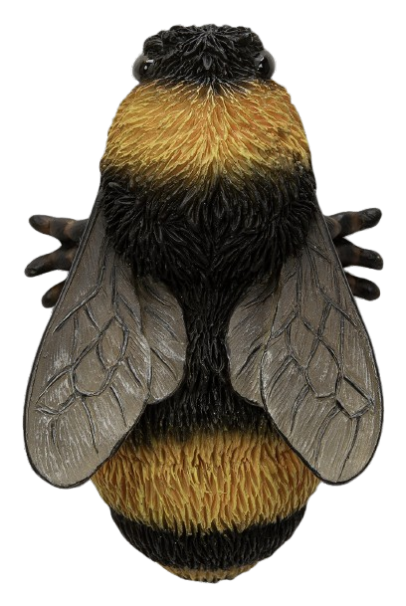 Wall Mounted Bee Ornament by Vivid Arts Vivid Arts