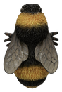 Wall Mounted Bee Ornament by Vivid Arts Vivid Arts