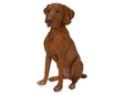 Vivid Arts Hungarian Vizsla Real Life Resin Ornament Vivid Arts