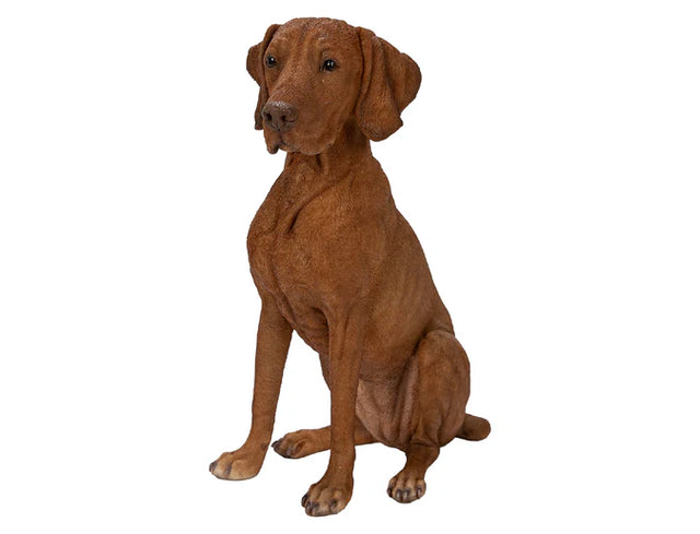 Vivid Arts Hungarian Vizsla Real Life Resin Ornament Vivid Arts