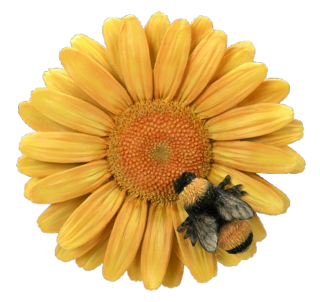 Hanging Yellow Daisy With Bee By Vivid Arts Vivid Arts