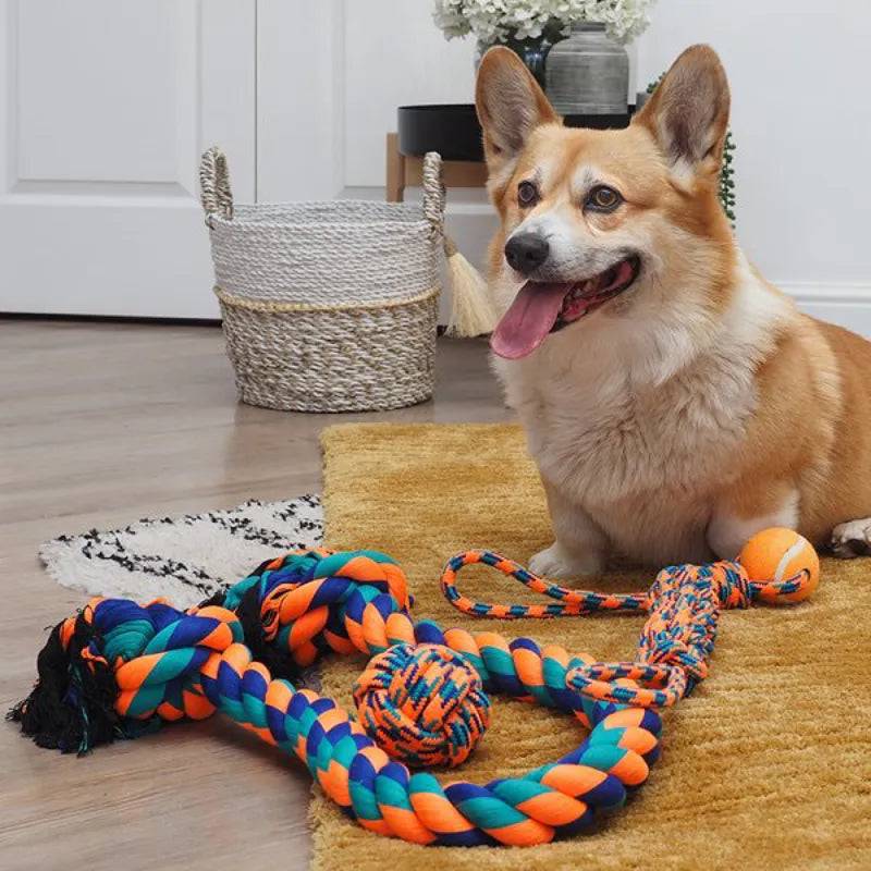 Uber-Activ Ball and Ball Lobber Dog Toy